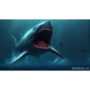 Shark 12