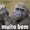 MEMES/REAÇÕES 😂👍 2 13
