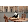 POOOLPIZZA 14