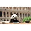 POOOLPIZZA 7