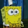 Memes do bob esponja 15