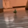 Cura depresión con Randoms 🥵✌🏻 5