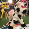 Lo mejor de TikTok 5 14