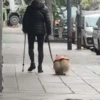 Лучшее из ТикТок 6 12