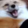 ANIMADO para você 6