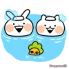 Nekogyuuun 11