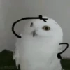 Animados random 10