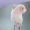 ANIMADO para você 8