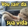 Gatos fofos e engraçados ❤️ 6