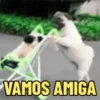 Utiliza para reagir ☺️ 12