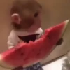 Memes you have to be 31 9