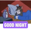 Tom-&-Jerry Animated 6