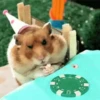 Ratitas🐭 13