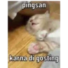 AYANG 14