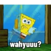 Spongebob Squarepants 6