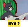 Tom-&-Jerry Animated 5