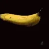Random Memes And Pranks 9