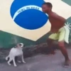 Bailecitos Random 7