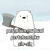 Beruang&panda 15