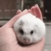 ✨Animados que necesitas✨ 4 8