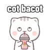 Kucing-Kucingan 12