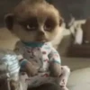 Animadinhas da semana 9