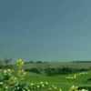 Teletubies 11