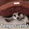 Misceláneos Animados✨💕 7