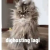 Random ayang edisi valentine 12