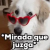 ✨Animados que necesitas✨ 4 10