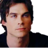 THE VAMPIRE DIARIES 15