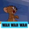 Tom-&-Jerry Animated 14