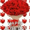 Rose Day  8