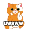 Kucing-Kucingan 11