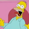 Os Simpsons 14