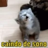 PACK BOM DEMAIS 🥰 5