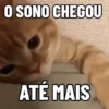 Memes e reações :) 11