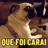 Utiliza para reagir ☺️ 15