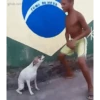 Memes pa’ enviar Animados 9