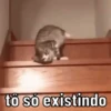 MEMES ALEATORIOS 12