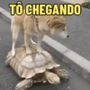 Utiliza para reagir ☺️ 9
