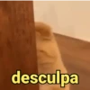 é meme & deboche 😌 11
