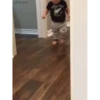 Reacciones animadas 🤪🤩💃🏽 14