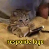 GATINHOS ANIMADOSS 11