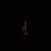 Pantera Rosa 10