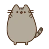 Pusshen cat 7