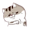 All cat for u 15