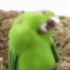 😎 Animados Para Ti 🥵 2 2