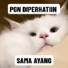 Random gif part 9