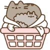 Pusshen cat 15